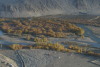 Ladakh_Oct_2008_021.jpg