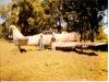 WW_II_USAF_Plane_at_Morni_s_Sainik_School__Assam_002.jpg