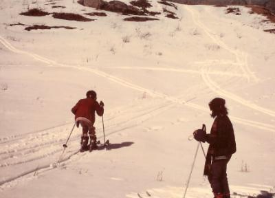 The Ski slopes of Narkanda
